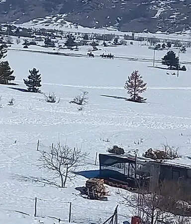 Casa Petrari Alt Air Appartamento Ovindoli